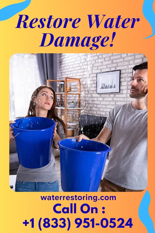 water restoration Platinum Extraction Masters Lexington