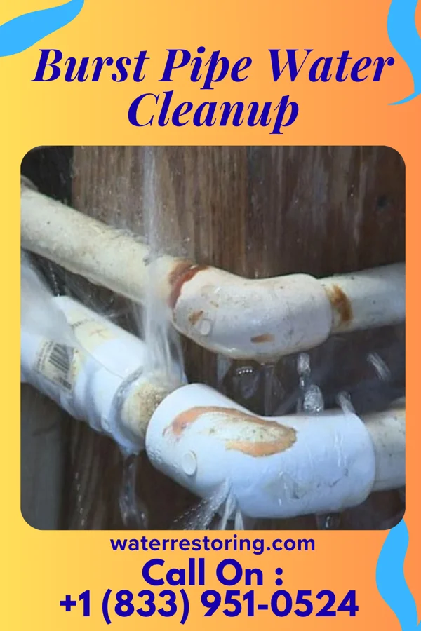 Burst Pipe Water Cleanup in Lexington, TN