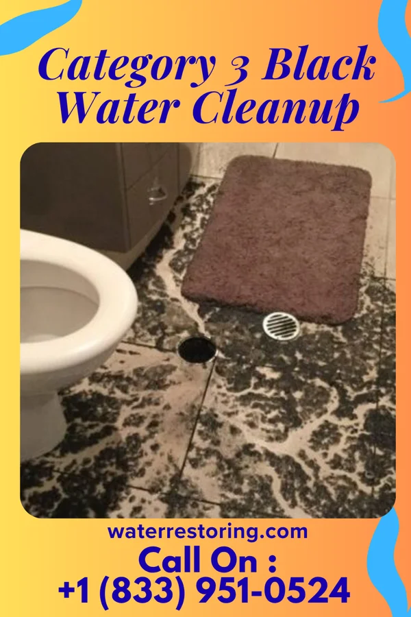 Category 3 Black Water Cleanup in Lexington, TN