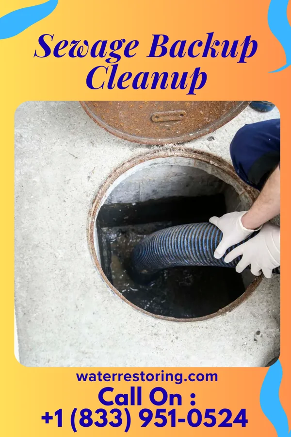 Sewage Backup Cleanup in Lexington, TN